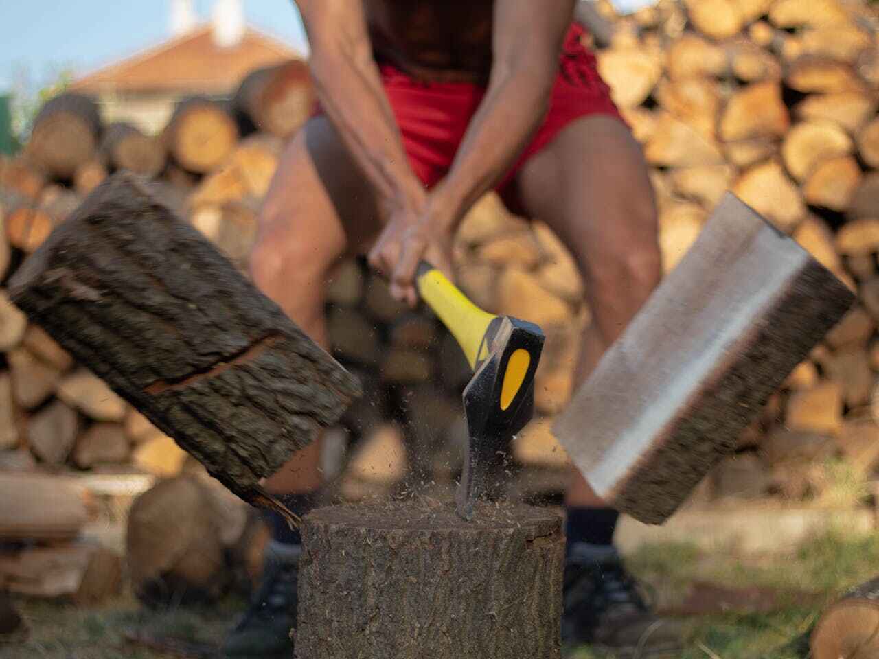 Large Tree Removal in Georgetown, TX